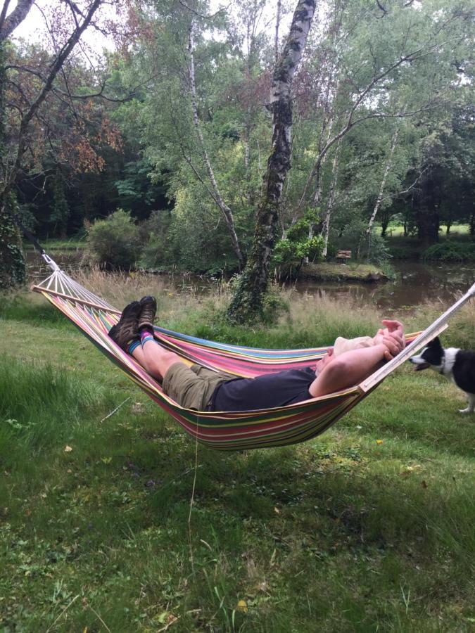 Le Gite Du Petit Renard: A Tranquil Gite With Pool Oradour-Saint-Genest Екстериор снимка